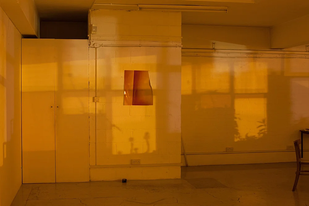 8220Studio8221 — Wolfgang Tillmans — Exhibitions — Galerie Buchholz — Image 00