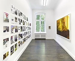 Studio — Wolfgang Tillmans — Exhibitions — Galerie Buchholz — Image 136