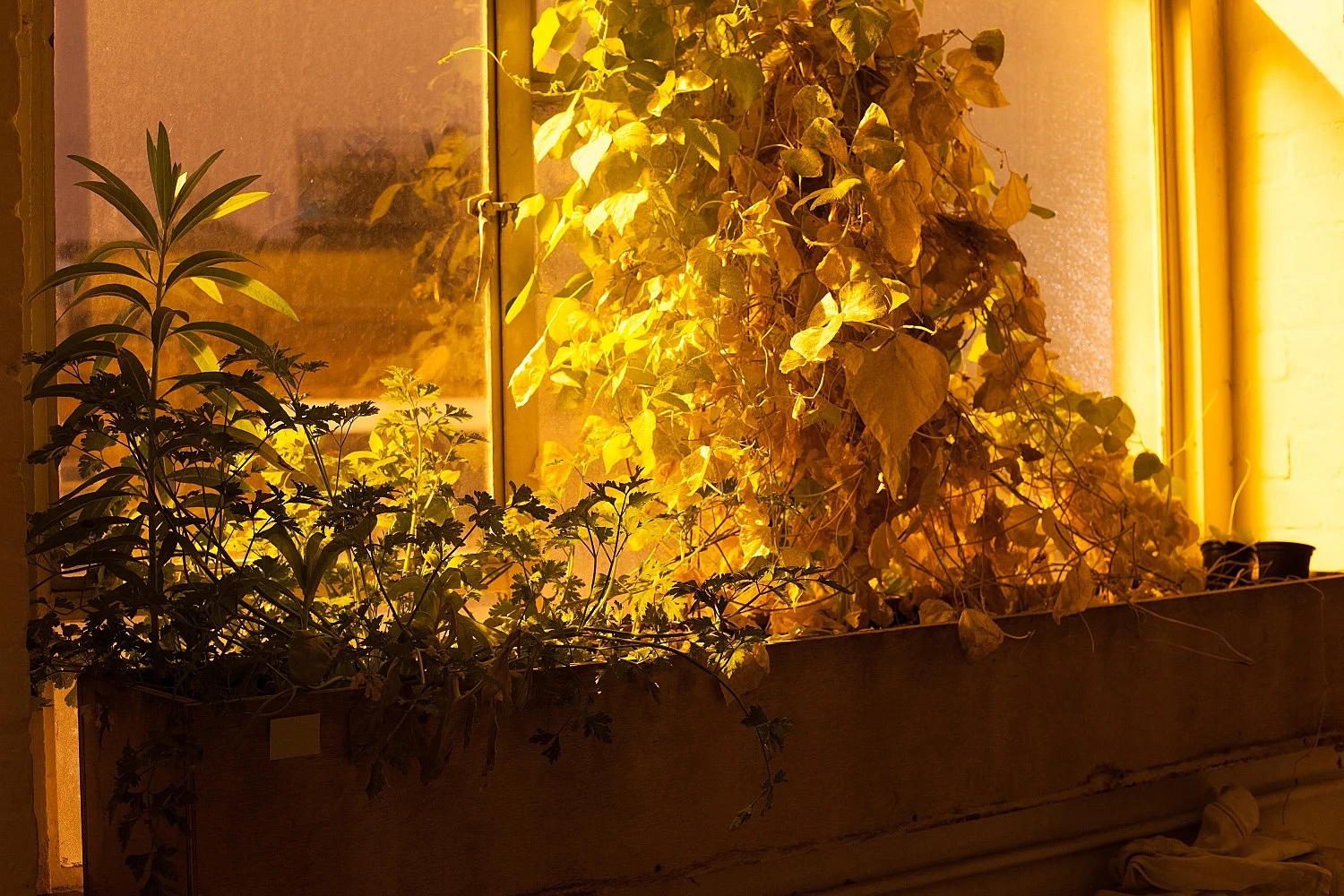Studio — Wolfgang Tillmans — Exhibitions — Galerie Buchholz — Image 58