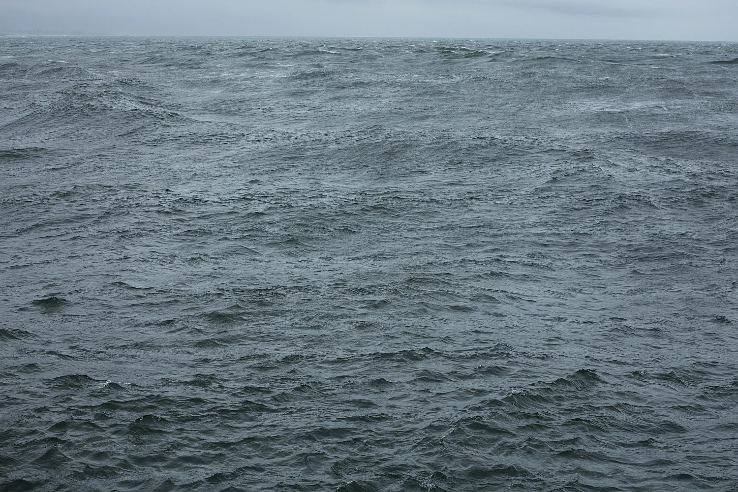 8220Studio8221 — Wolfgang Tillmans — Exhibitions — Galerie Buchholz — Image 62
