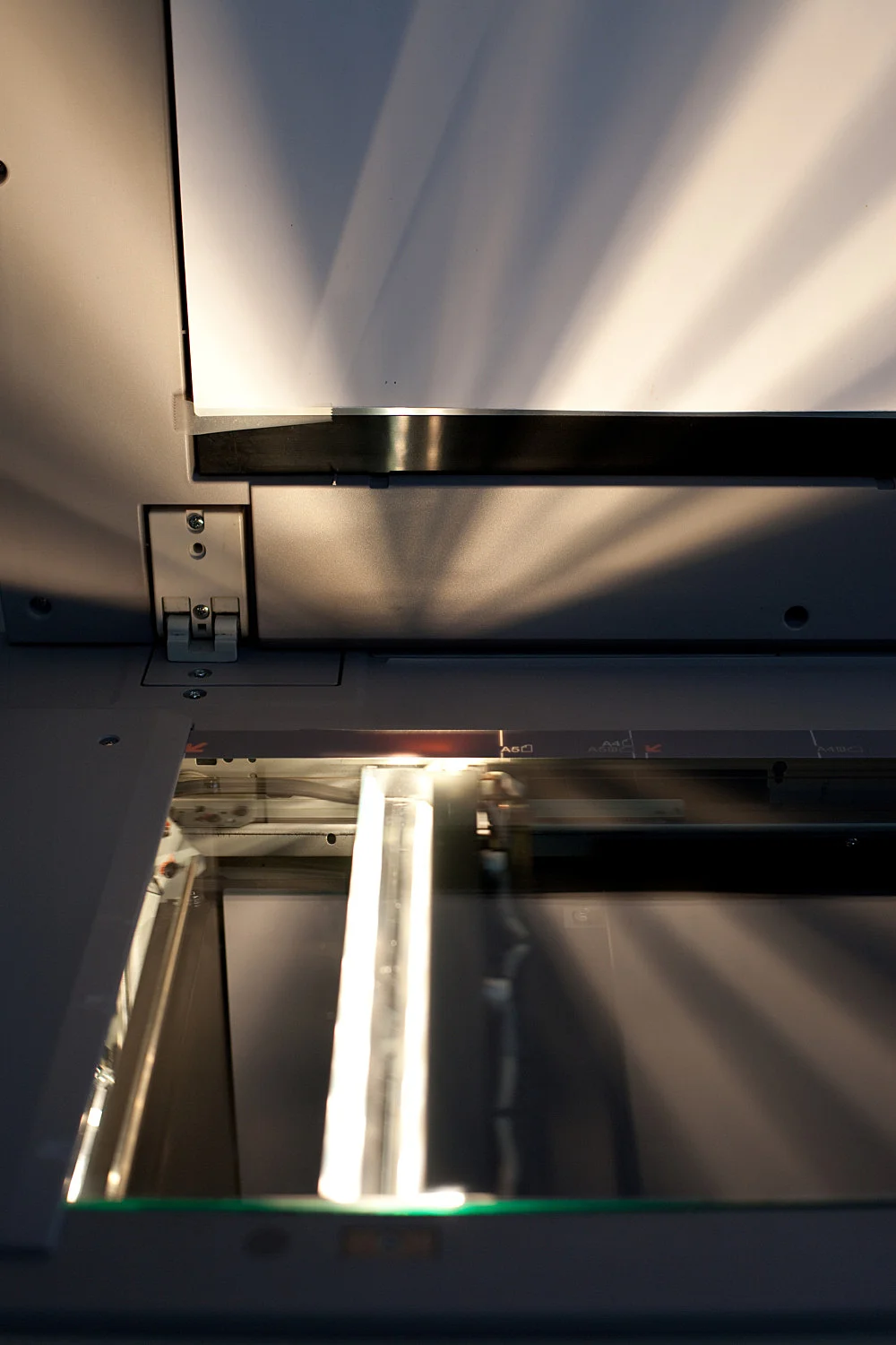 8220Studio8221 — Wolfgang Tillmans — Exhibitions — Galerie Buchholz — Image 68