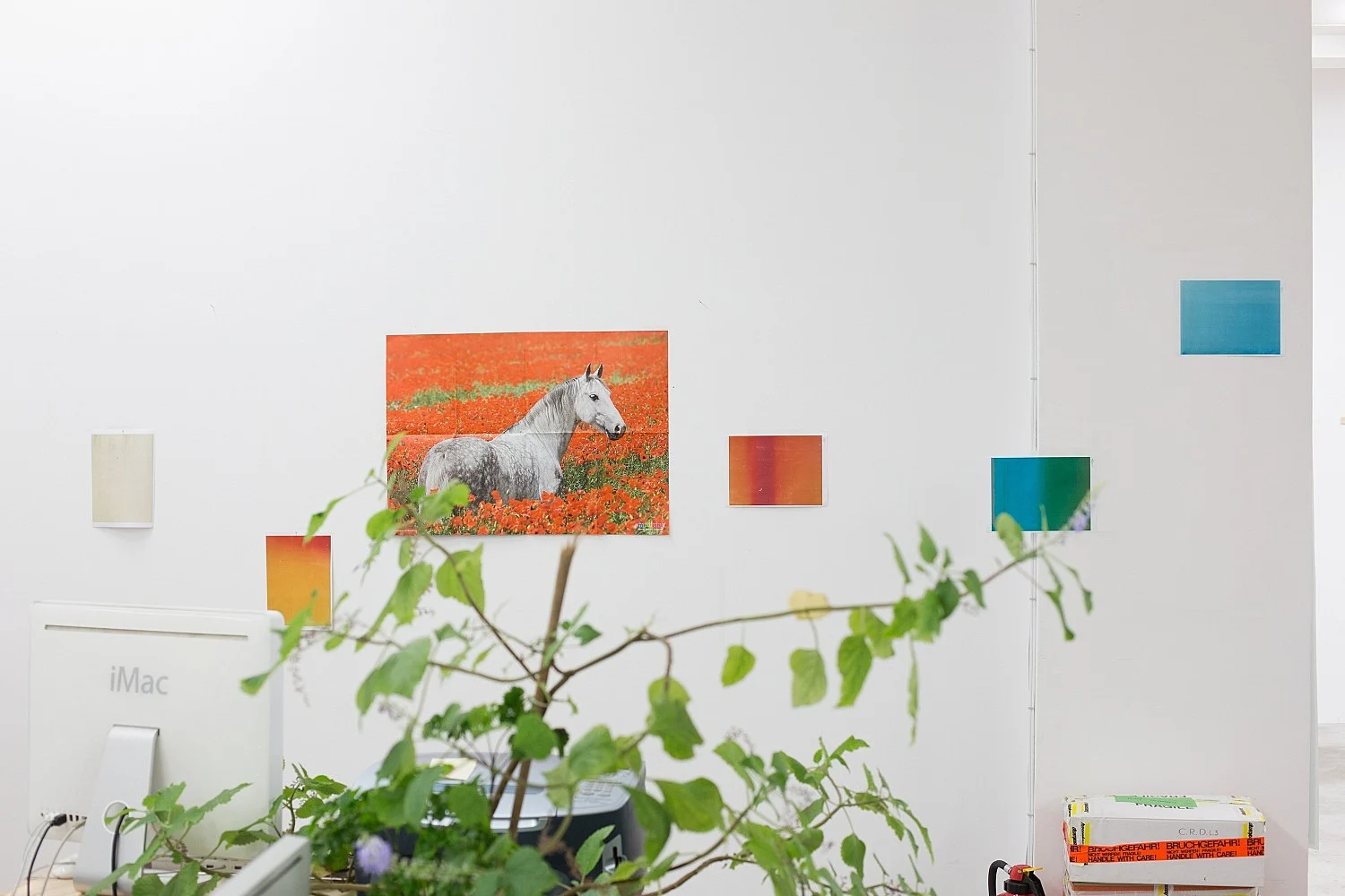 8220Studio8221 — Wolfgang Tillmans — Exhibitions — Galerie Buchholz — Image 72