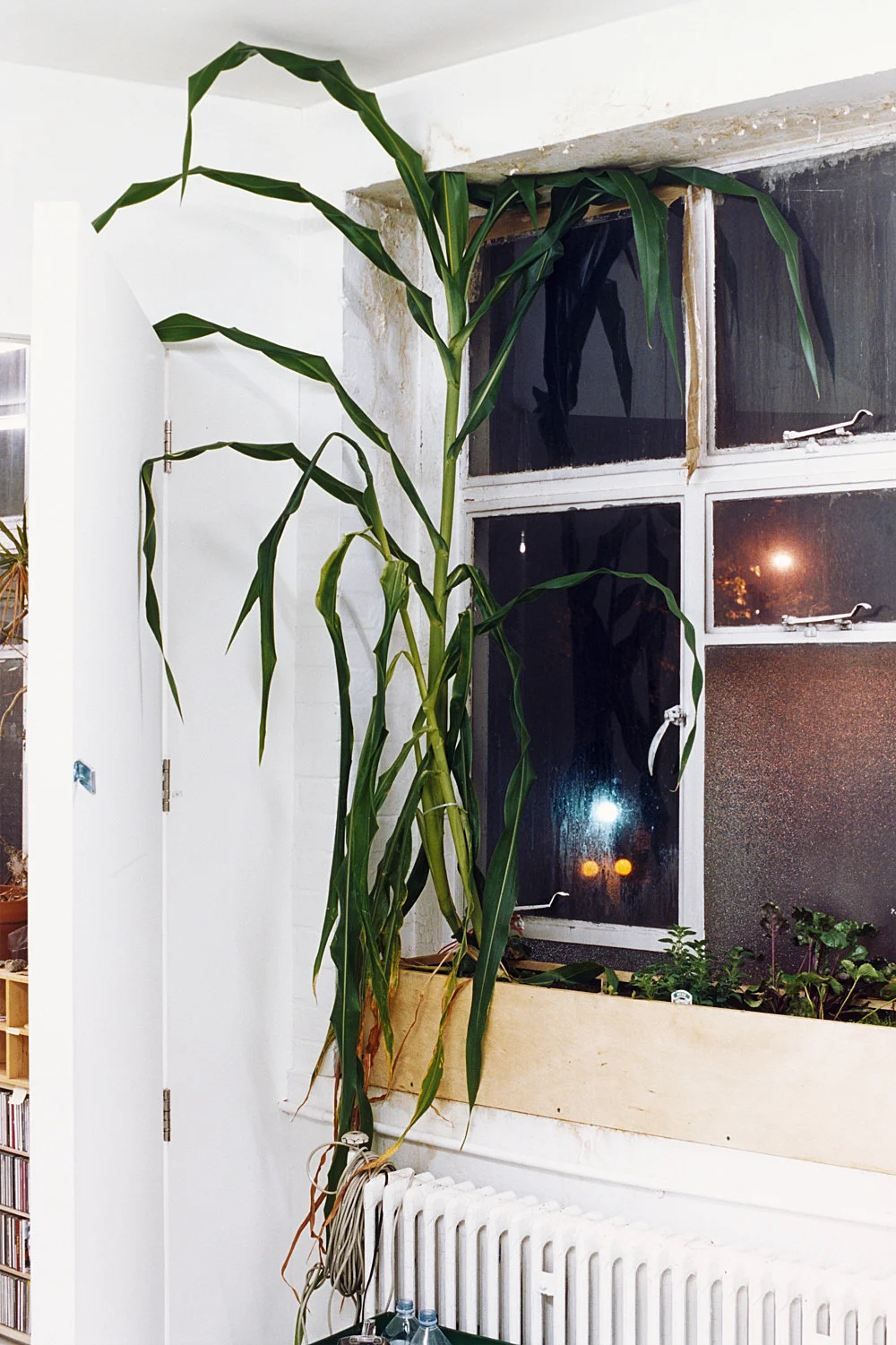 8220Studio8221 — Wolfgang Tillmans — Exhibitions — Galerie Buchholz — Image 75