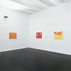 Richard Hawkins 2000 — Richard Hawkins — Exhibitions — Galerie Buchholz — Image 18
