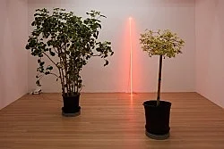 shadefrequency — Cerith Wyn Evans — Exhibitions — Galerie Buchholz — Image 53