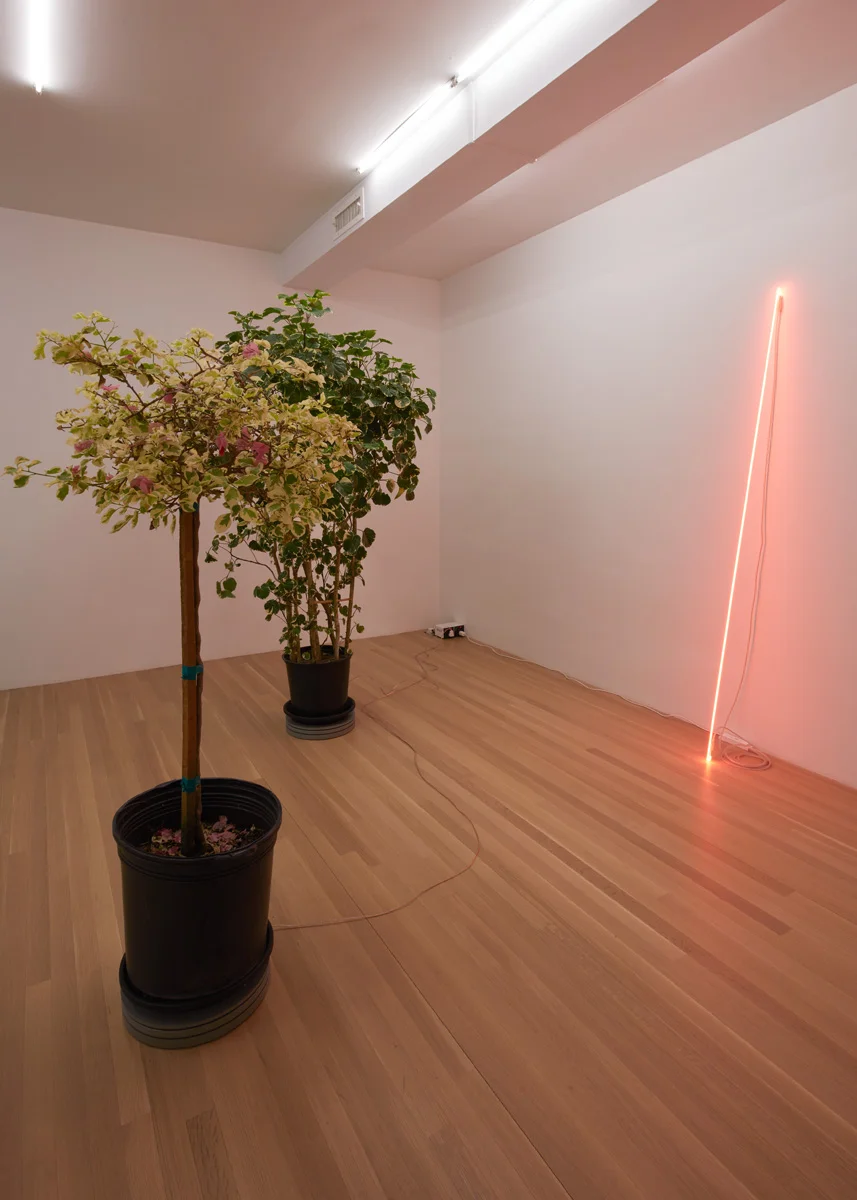 shadefrequency — Cerith Wyn Evans — Exhibitions — Galerie Buchholz — Image 27