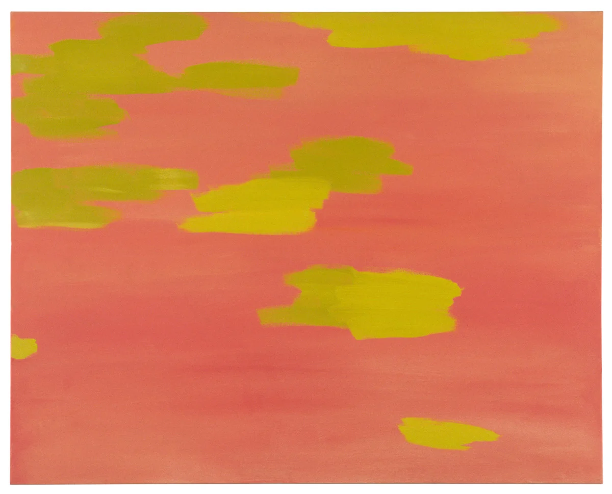 Richard Hawkins 2000 — Richard Hawkins — Exhibitions — Galerie Buchholz — Image 12