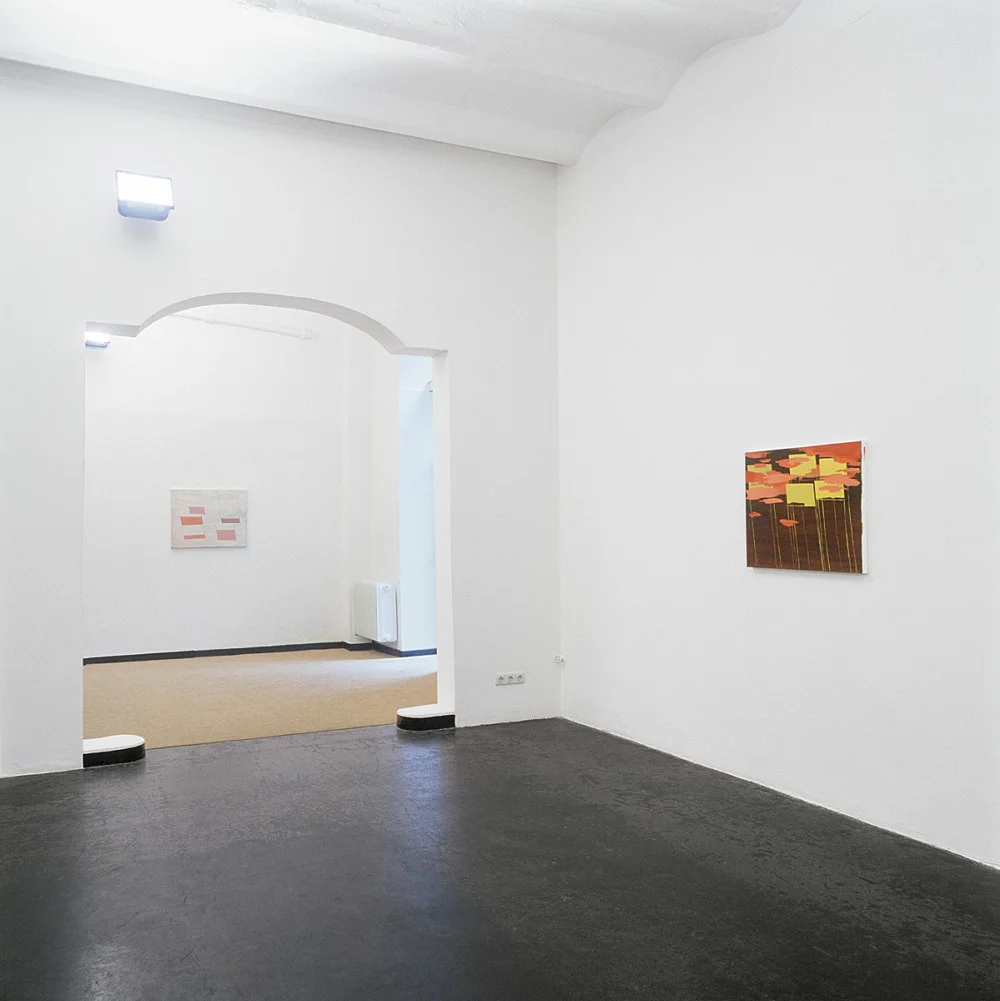 Richard Hawkins 2000 — Richard Hawkins — Exhibitions — Galerie Buchholz — Image 07