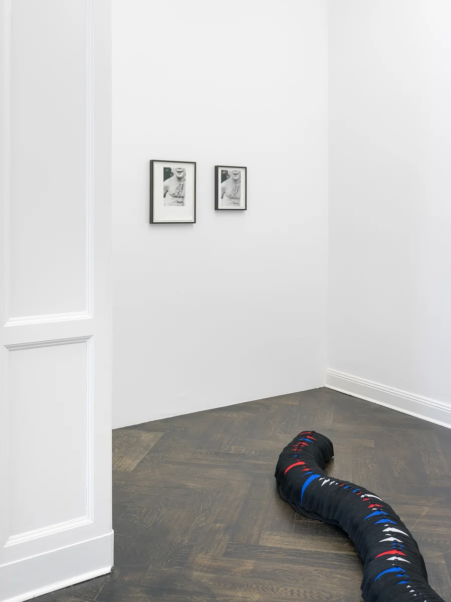 DivineTransportation — Lutz Bacher — Exhibitions — Galerie Buchholz — Image 28