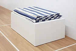 Douglas Crimp Before Pictures New York City 1967-1977 — Alvin Baltrop, Daniel Buren, The Cockettes, Joseph Cornell, Walker Evans, Jack Goldstein, Guy Hocquenghem, Peter... — Exhibitions — Galerie Buchholz — Image 118