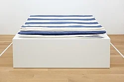 Douglas Crimp Before Pictures New York City 1967-1977 — Alvin Baltrop, Daniel Buren, The Cockettes, Joseph Cornell, Walker Evans, Jack Goldstein, Guy Hocquenghem, Peter... — Exhibitions — Galerie Buchholz — Image 119