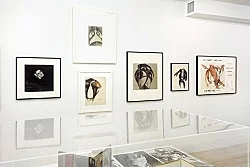 Douglas Crimp Before Pictures New York City 1967-1977 — Alvin Baltrop, Daniel Buren, The Cockettes, Joseph Cornell, Walker Evans, Jack Goldstein, Guy Hocquenghem, Peter... — Exhibitions — Galerie Buchholz — Image 143