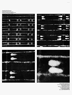 Douglas Crimp Before Pictures New York City 1967-1977 — Alvin Baltrop, Daniel Buren, The Cockettes, Joseph Cornell, Walker Evans, Jack Goldstein, Guy Hocquenghem, Peter... — Exhibitions — Galerie Buchholz — Image 148