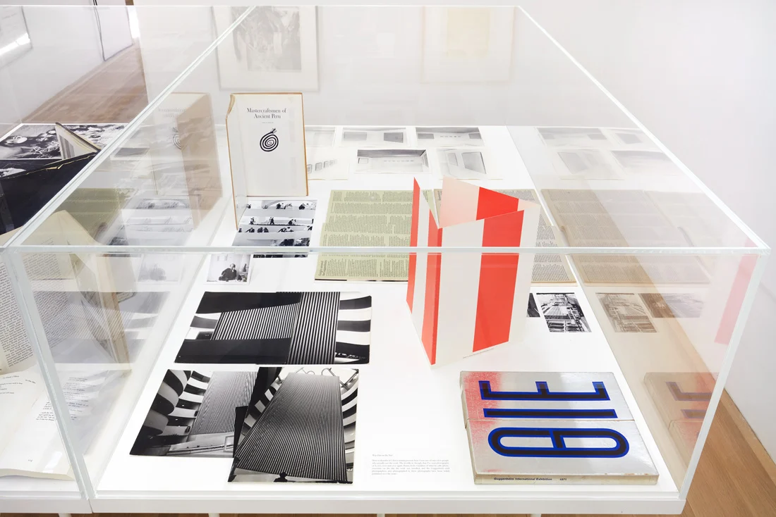 Douglas Crimp Before Pictures New York City 1967-1977 — Alvin Baltrop, Daniel Buren, The Cockettes, Joseph Cornell, Walker Evans, Jack Goldstein, Guy Hocquenghem, Peter... — Exhibitions — Galerie Buchholz — Image 45