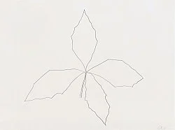 Douglas Crimp Before Pictures New York City 1967-1977 — Alvin Baltrop, Daniel Buren, The Cockettes, Joseph Cornell, Walker Evans, Jack Goldstein, Guy Hocquenghem, Peter... — Exhibitions — Galerie Buchholz — Image 169