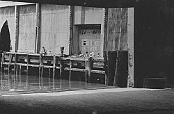 Douglas Crimp Before Pictures New York City 1967-1977 — Alvin Baltrop, Daniel Buren, The Cockettes, Joseph Cornell, Walker Evans, Jack Goldstein, Guy Hocquenghem, Peter... — Exhibitions — Galerie Buchholz — Image 181