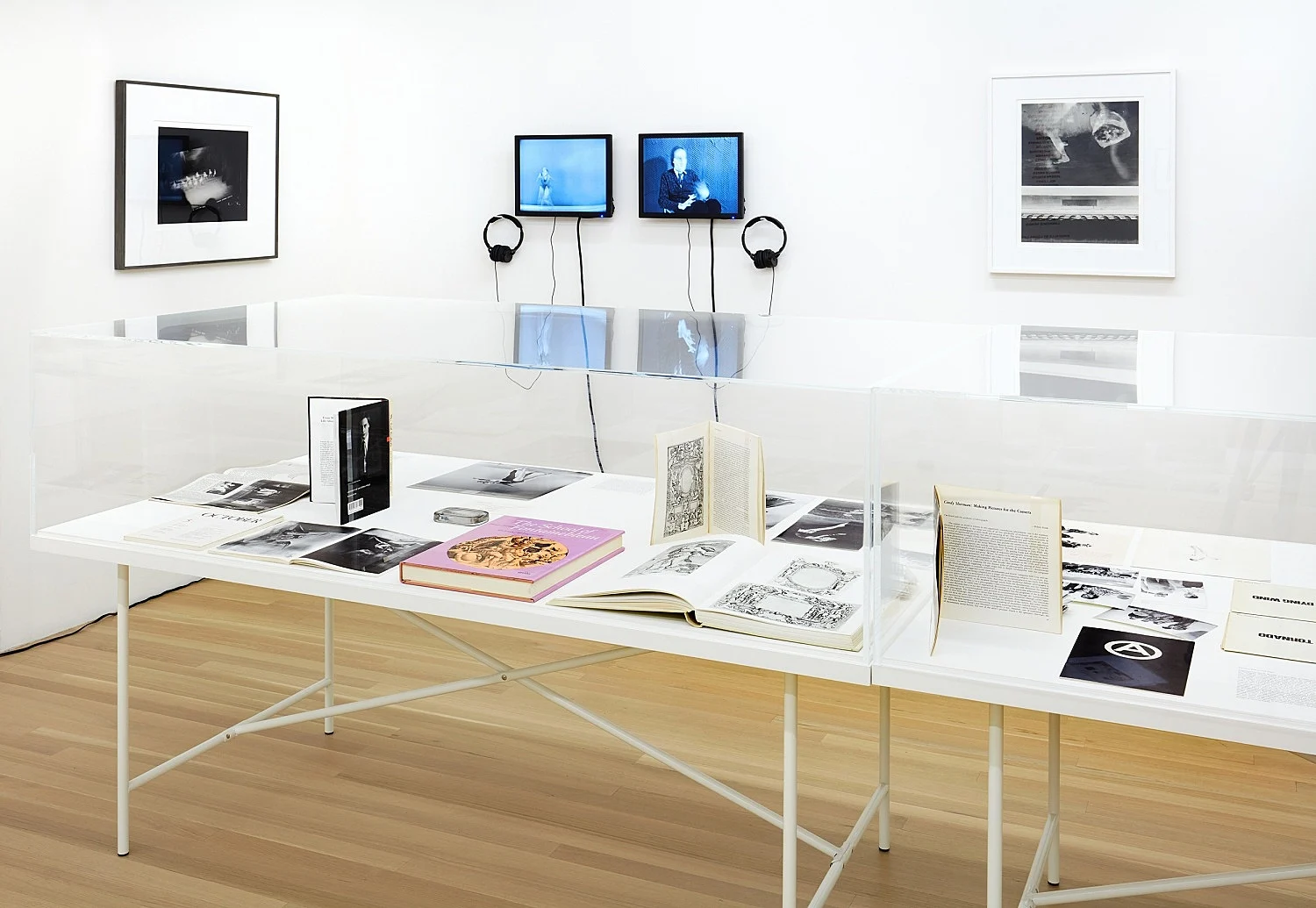 Douglas Crimp Before Pictures New York City 1967-1977 — Alvin Baltrop, Daniel Buren, The Cockettes, Joseph Cornell, Walker Evans, Jack Goldstein, Guy Hocquenghem, Peter... — Exhibitions — Galerie Buchholz — Image 80