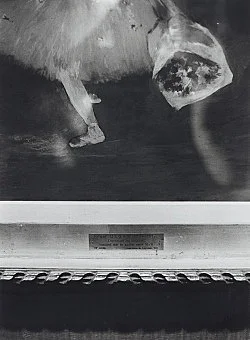 Douglas Crimp Before Pictures New York City 1967-1977 — Alvin Baltrop, Daniel Buren, The Cockettes, Joseph Cornell, Walker Evans, Jack Goldstein, Guy Hocquenghem, Peter... — Exhibitions — Galerie Buchholz — Image 190