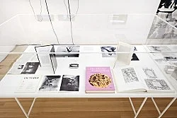 Douglas Crimp Before Pictures New York City 1967-1977 — Alvin Baltrop, Daniel Buren, The Cockettes, Joseph Cornell, Walker Evans, Jack Goldstein, Guy Hocquenghem, Peter... — Exhibitions — Galerie Buchholz — Image 191