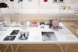 Douglas Crimp Before Pictures New York City 1967-1977 — Alvin Baltrop, Daniel Buren, The Cockettes, Joseph Cornell, Walker Evans, Jack Goldstein, Guy Hocquenghem, Peter... — Exhibitions — Galerie Buchholz — Image 193