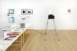 Douglas Crimp Before Pictures New York City 1967-1977 — Alvin Baltrop, Daniel Buren, The Cockettes, Joseph Cornell, Walker Evans, Jack Goldstein, Guy Hocquenghem, Peter... — Exhibitions — Galerie Buchholz — Image 204