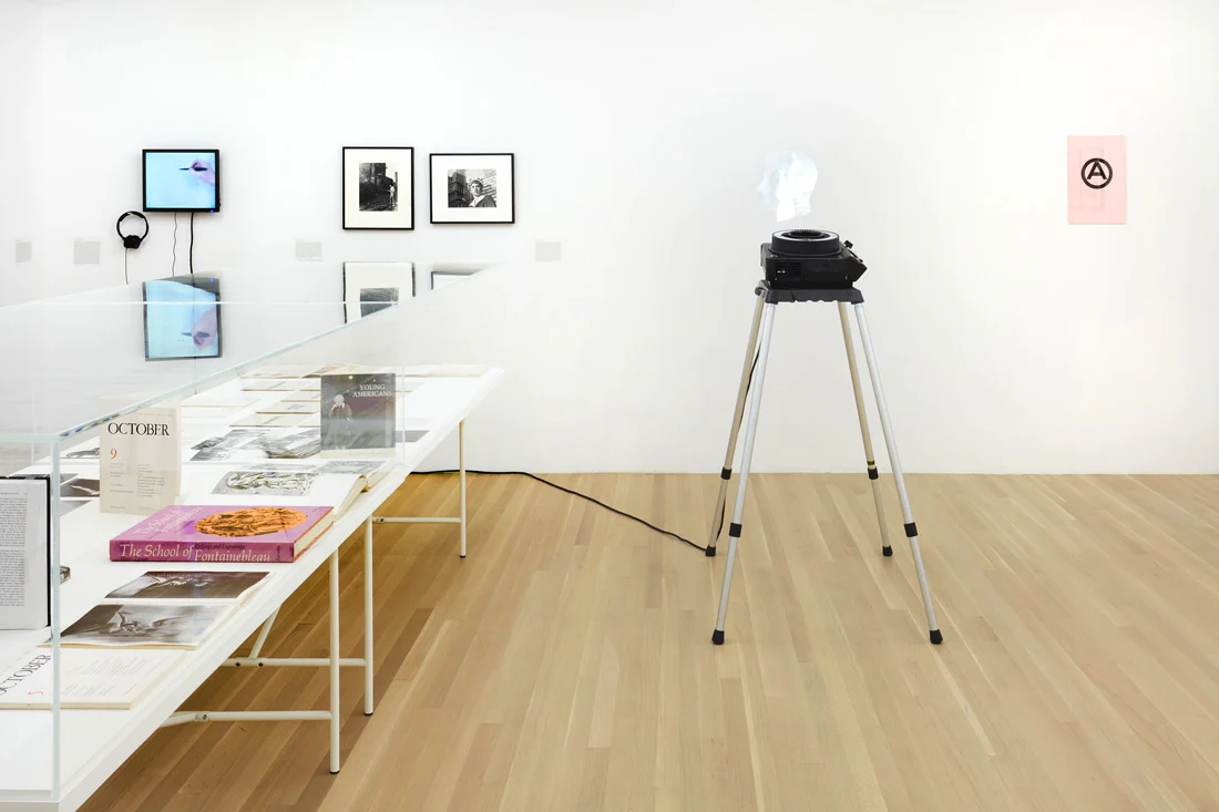 Douglas Crimp Before Pictures New York City 1967-1977 — Alvin Baltrop, Daniel Buren, The Cockettes, Joseph Cornell, Walker Evans, Jack Goldstein, Guy Hocquenghem, Peter... — Exhibitions — Galerie Buchholz — Image 98