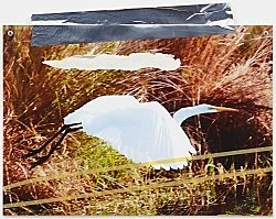 Portraits — Isa Genzken — Exhibitions — Galerie Buchholz — Image 56