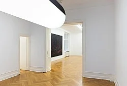amp Jack Goldstein Hervé Guibert — Tomma Abts Lutz Bacher Trisha Donnelly Vincent Fecteau Mark Leckey — Exhibitions — Galerie Buchholz — Image 69