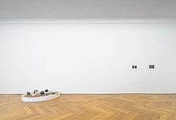 amp Jack Goldstein Hervé Guibert — Tomma Abts Lutz Bacher Trisha Donnelly Vincent Fecteau Mark Leckey — Exhibitions — Galerie Buchholz — Image 72