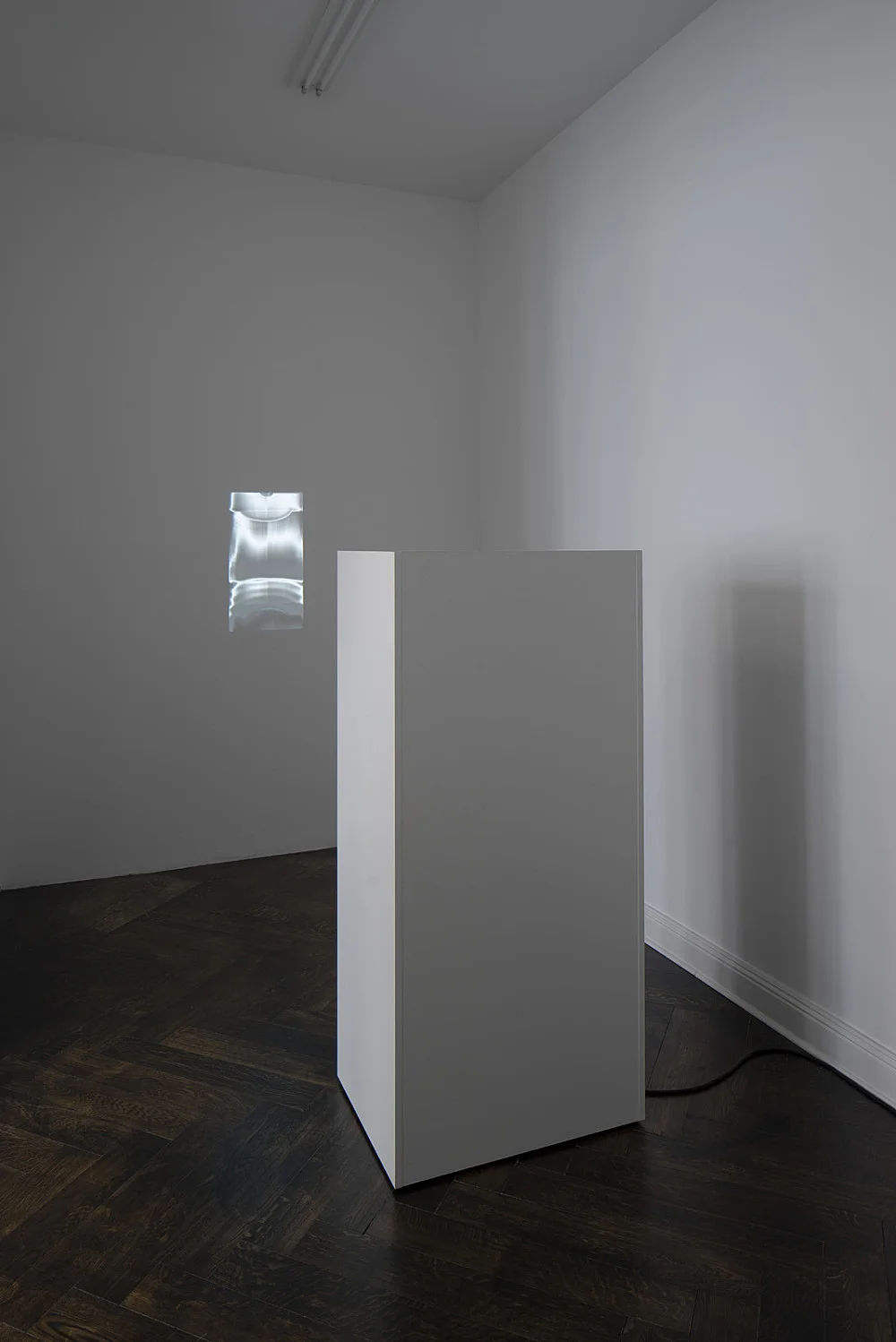 amp Jack Goldstein Hervé Guibert — Tomma Abts Lutz Bacher Trisha Donnelly Vincent Fecteau Mark Leckey — Exhibitions — Galerie Buchholz — Image 51