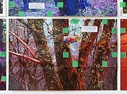 Portrait Landscape — Moyra Davey — Exhibitions — Galerie Buchholz — Image 53