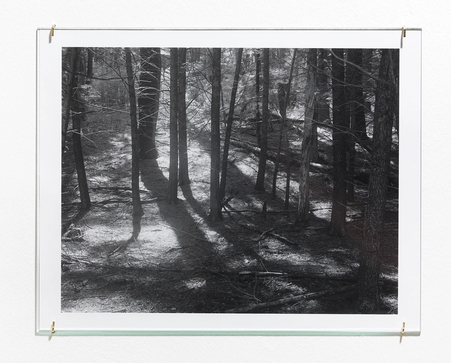 PortraitLandscape — Moyra Davey — Exhibitions — Galerie Buchholz — Image 24