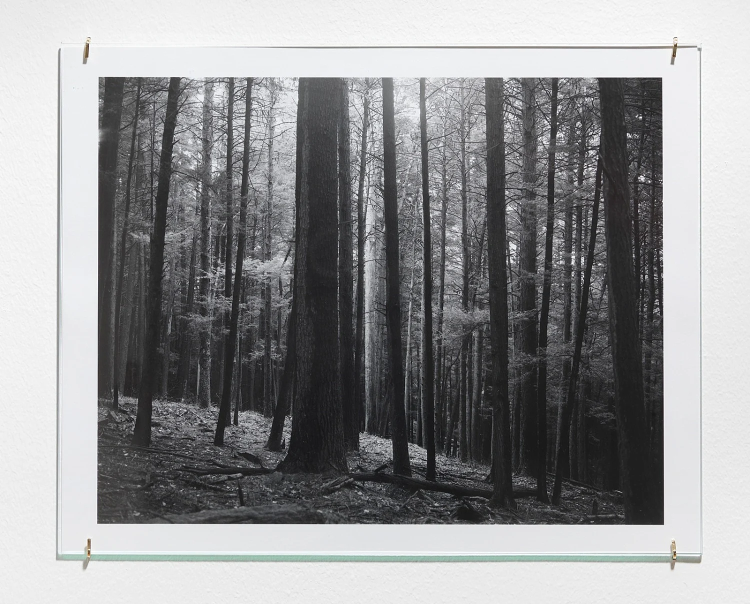 PortraitLandscape — Moyra Davey — Exhibitions — Galerie Buchholz — Image 25