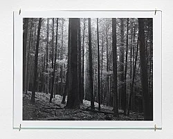 Portrait Landscape — Moyra Davey — Exhibitions — Galerie Buchholz — Image 57