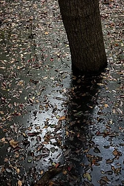 Fest — Wolfgang Tillmans — Exhibitions — Galerie Buchholz — Image 62