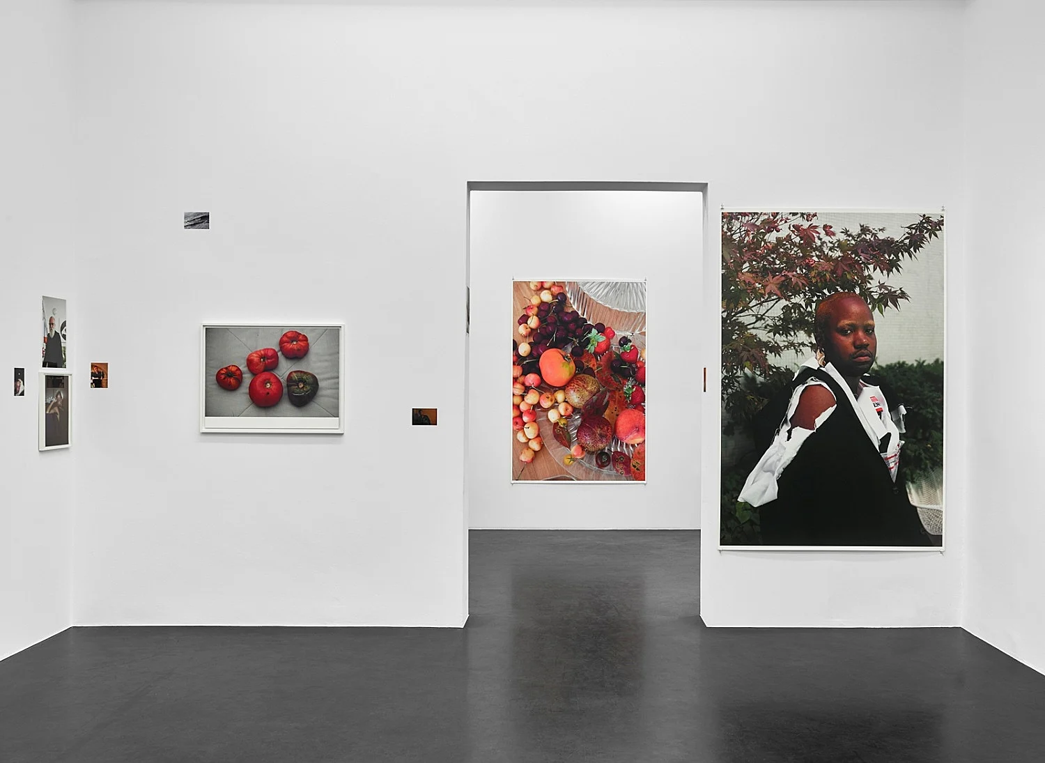 8220Fest8221 — Wolfgang Tillmans — Exhibitions — Galerie Buchholz — Image 22