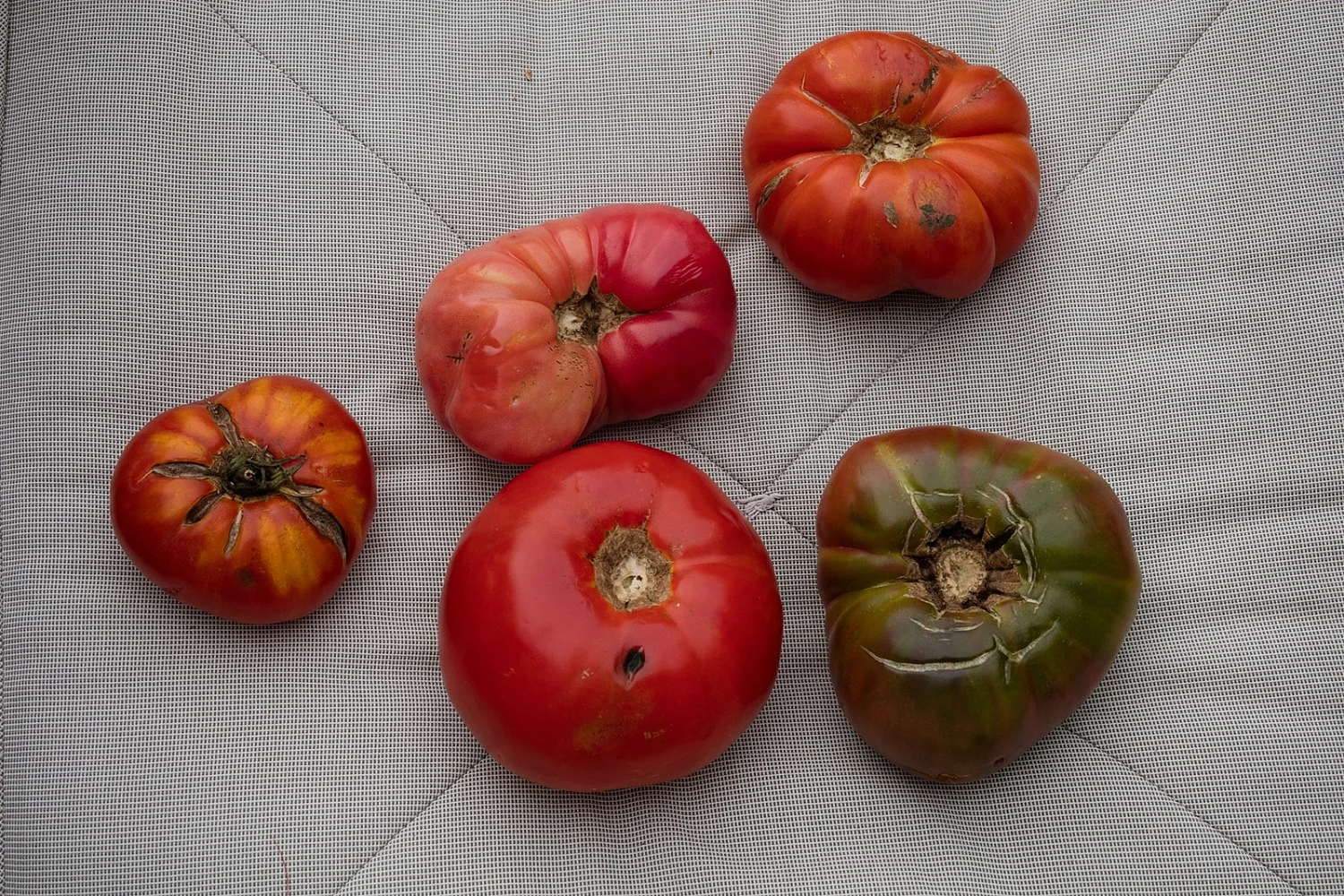 Fest — Wolfgang Tillmans — Exhibitions — Galerie Buchholz — Image 23