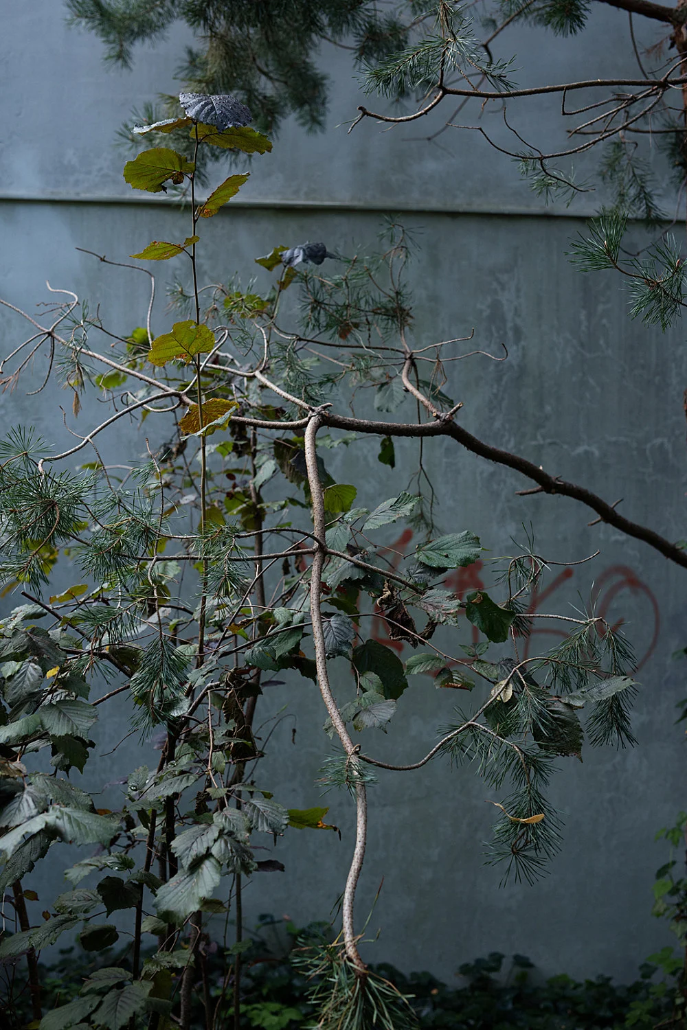 8220Fest8221 — Wolfgang Tillmans — Exhibitions — Galerie Buchholz — Image 27