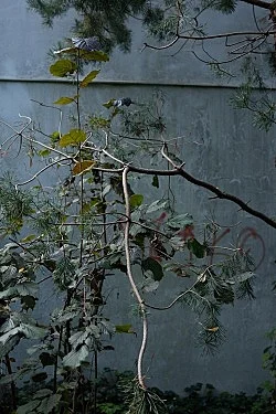 Fest — Wolfgang Tillmans — Exhibitions — Galerie Buchholz — Image 76