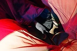 Fest — Wolfgang Tillmans — Exhibitions — Galerie Buchholz — Image 78