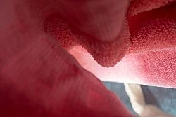 Fest — Wolfgang Tillmans — Exhibitions — Galerie Buchholz — Image 79
