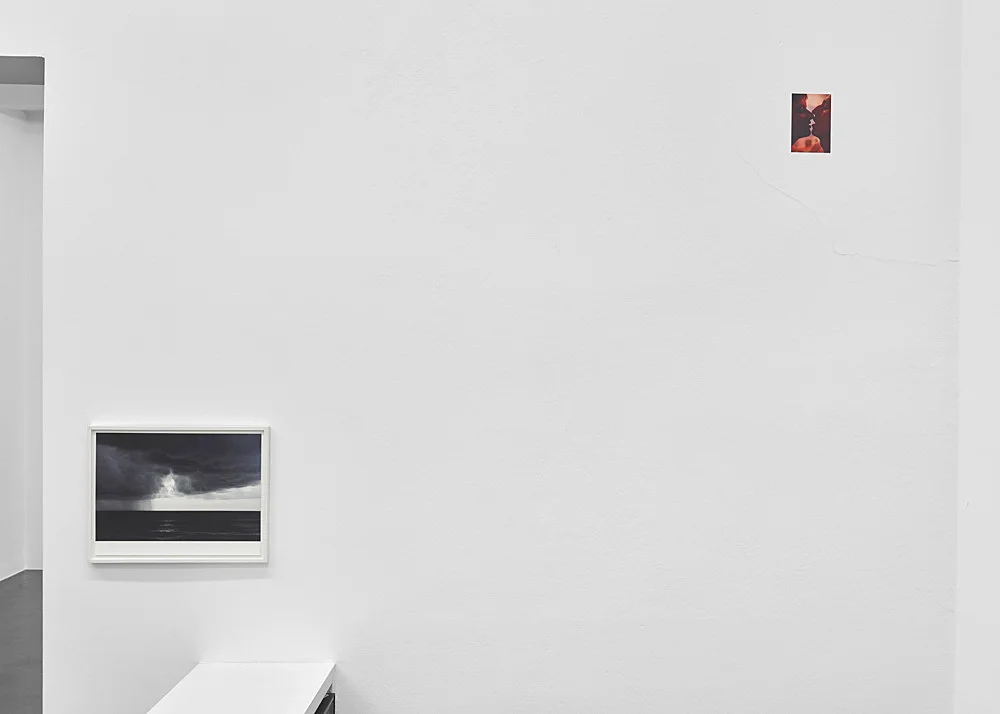8220Fest8221 — Wolfgang Tillmans — Exhibitions — Galerie Buchholz — Image 00
