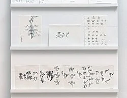 Forschungen an den Rändern der Schrift — Michael Oppitz — Exhibitions — Galerie Buchholz — Image 127