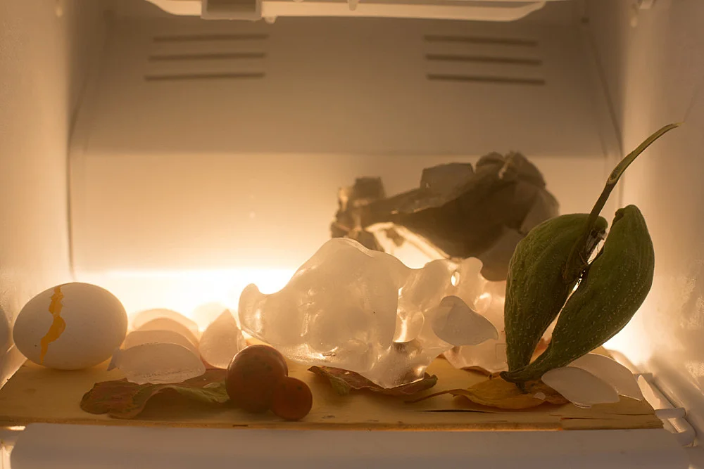 8220Fest8221 — Wolfgang Tillmans — Exhibitions — Galerie Buchholz — Image 00