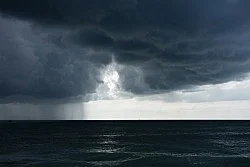 Fest — Wolfgang Tillmans — Exhibitions — Galerie Buchholz — Image 55
