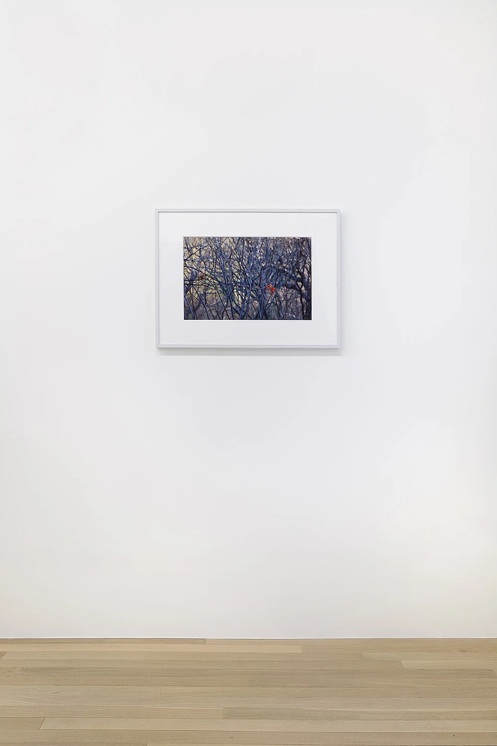 book presentation and exhibition with Moyra Davey, Thomas Eggerer, Jochen Klein, Cerith Wyn Evans, Heinz Peter Knes, Wolfgang Tillmans, Danh Vo, David Wojnarowicz, Martin Wong — In Part Writings by Julie Ault — Exhibitions — Galerie Buchholz — Image 04