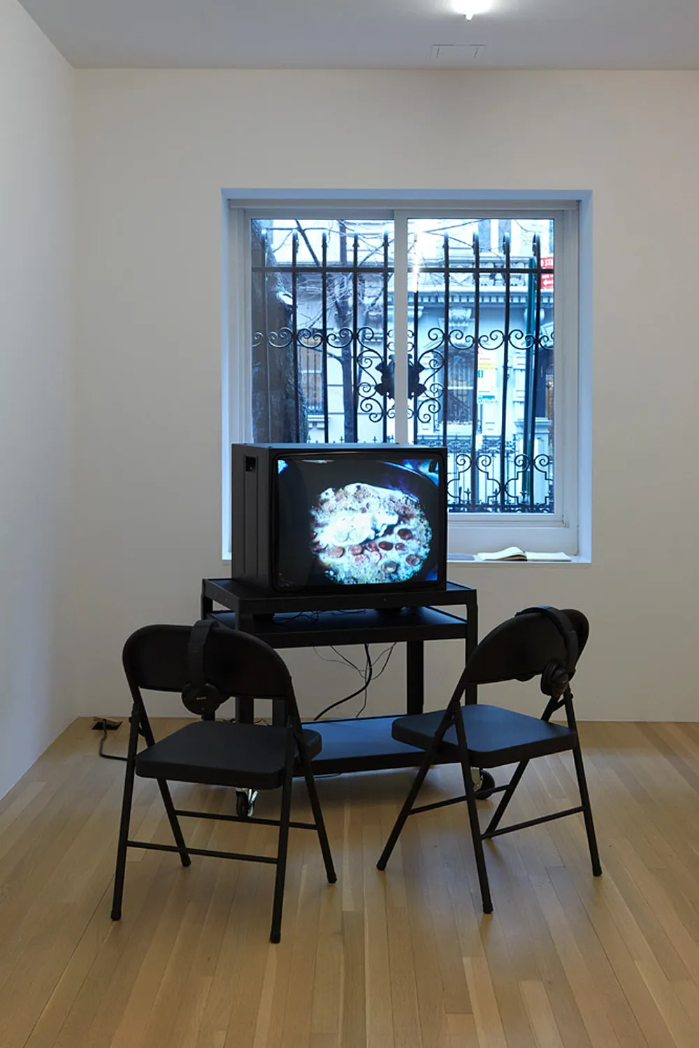 1943 — Moyra Davey — Exhibitions — Galerie Buchholz — Image 08