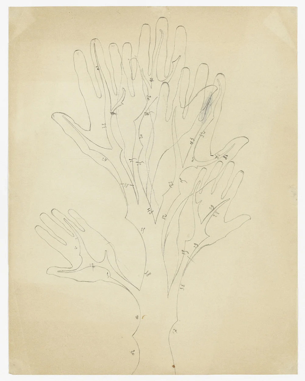 DrawingsforBookbindingscompiledbyFlorianPumhsl — Paul Bonet — Exhibitions — Galerie Buchholz — Image 60