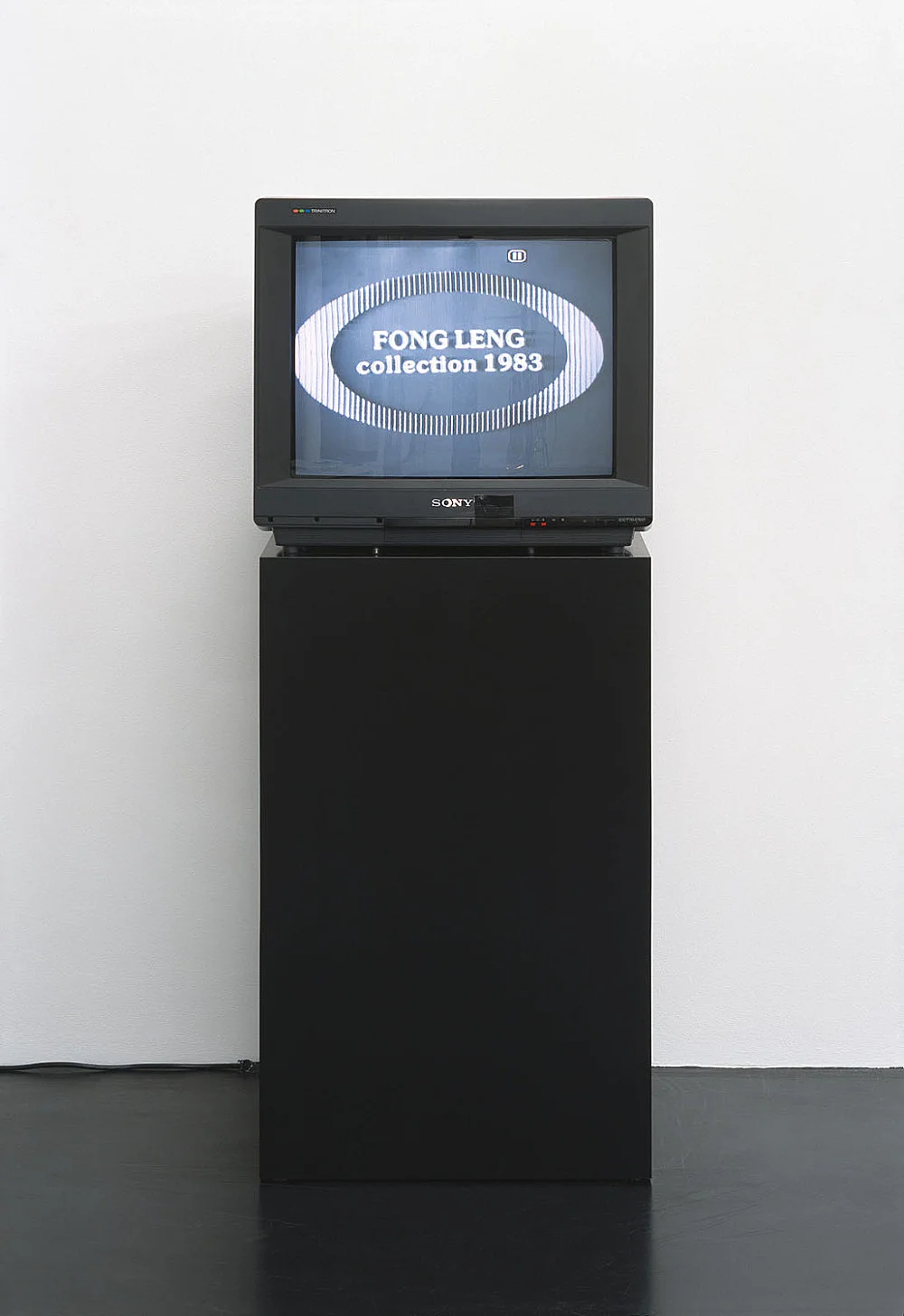 8220BirdsinaPark8221anexhibitionbyWillemdeRooij — Fong-LengKeren CytterIsa Genzken — Exhibitions — Galerie Buchholz — Image 08