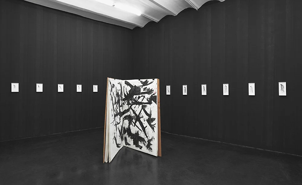 OpentheKimono — Lutz Bacher — Exhibitions — Galerie Buchholz — Image 00